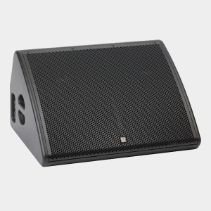 TFM-560 12" Bi-Amped Two-Way Dual Floor Monitor