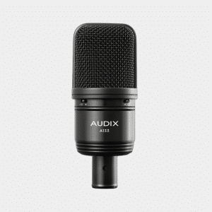 A133 LARGE DIAPHRAGM STUDIO CONDENSER MICROPHONE WITH PAD AND ROLL OFF