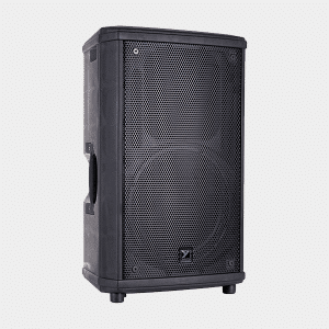 NX35-2 12-inch Full Range Loudspeaker